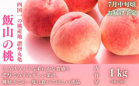 【全3回】フルーツ定期便 夏のいいとこどり 少人数用 定期便