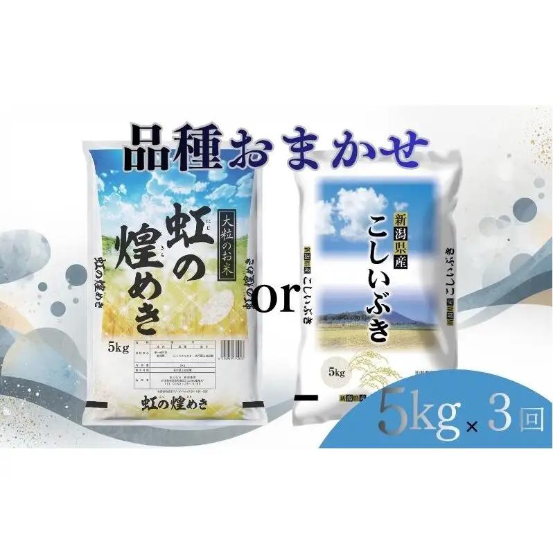 【6月上旬より配送】 新潟県産 品種おまかせ 5kg  3か月定期便 新潟県 新潟市産 令和7年産 お米 精米 米 ご飯 送料無料