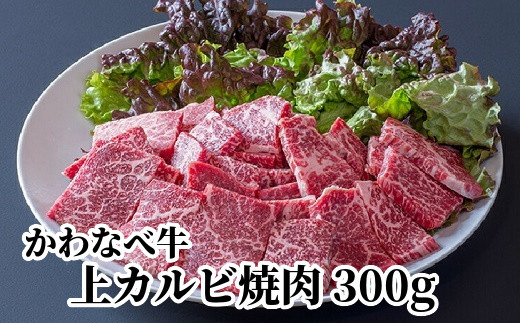 
023-21 かわなべ牛上カルビ焼肉300g
