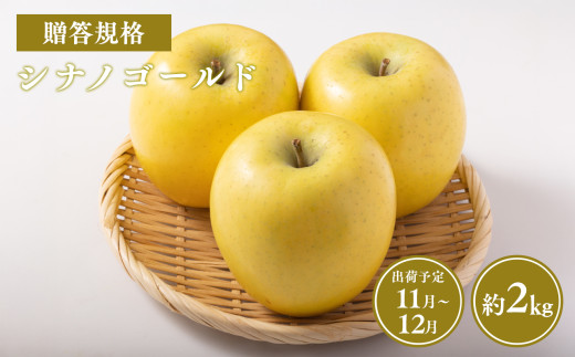 ≪令和7年産先行受付≫贈答用シナノゴールド約2kg【青森県 平川市 山内ファーム】贈答 贈答規格 平川市産 青森りんご りんご リンゴ 林檎 シナノ ゴールド お取り寄せ 先行予約 果物 くだもの フルーツ 