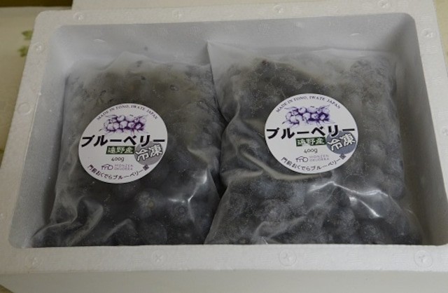 
            冷凍 ブルーベリー 大粒 合計 800g（400ｇパック2個入り） 門前おくでらブルーベリー園 岩手県 遠野市 産 お取り寄せ 産地直送 2025年産
          