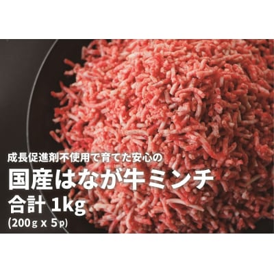 はなが牛　ミンチ　1kg　(200gx5p)