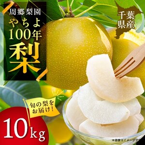 2026年発送先行受付 周郷梨園のやちよ100年梨(10kg)【1493889】