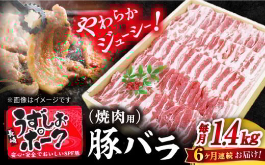【6回 定期便 】 焼肉用 長崎うずしおポーク 豚バラ（ 焼肉 用）1.4kg 訳あり ＜スーパーウエスト＞ [CAG114]長崎うずしおポーク バラ 焼肉 豚バラ 焼き肉 ブランド豚 長崎県産 西海市 うずしおポーク 焼肉用