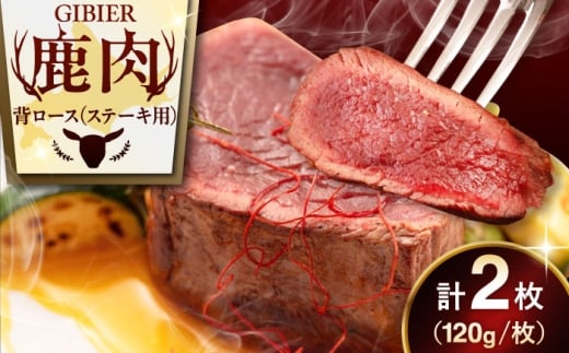 【2枚】 鹿肉 背ロース 2枚 《喜茂別町》【EBIJIN】 ジビエ 鹿 ロース ステーキ ステーキ用 赤身 冷凍 冷凍配送 [AJAO066] 10000 10000円 1万円