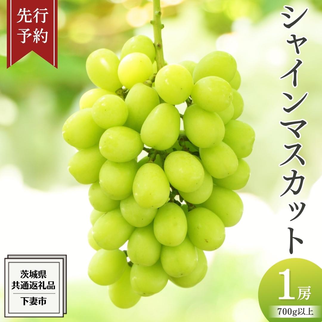 《 先行予約 》 シャインマスカット 1房 ( 700g 以上)( 共通返礼品：下妻市 ) フルーツ 果物 マスカット ぶどう 葡萄 ブドウ 旬 国産 産地直送 化粧箱 ギフト 【石崎ぶどう園】2025年8月下旬頃から発送予定