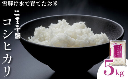 令和6年産 コシヒカリ 数量限定 特別栽培米 二王子米 お米 米 ご飯 こめ コシヒカリ せいだ 玄米 新潟 新発田 seida002