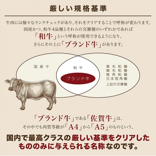 佐賀牛ヒレ肉 200g×4：C102-005_イメージ5