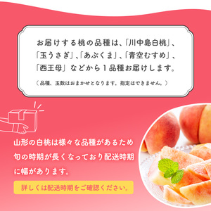 【ふるなびWEEK対象】有機質肥料栽培 白桃 2kg（5～9玉） 秀品 品種おまかせ 山形県産 【2026年8月下旬頃～9月下旬頃発送予定】令和8年産　010-B-AF007