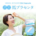 【ふるさと納税】セルフケアにおすすめ 健康補助食品 馬プラセンタ 1箱 90粒 320mg サプリ JBP プラセンタ EQ カプセル サプリメント 国産 日本製 粒 日本生物製剤 添加物不使用 更年期 栄養補給 福岡県 久留米市 送料無料