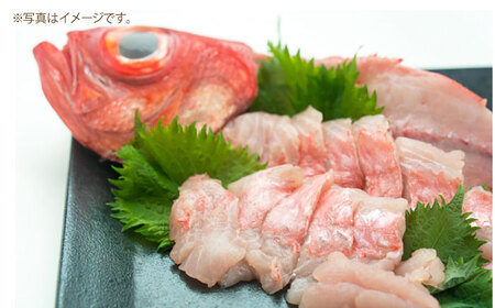 高知県産 天然 金目鯛 約1.3kg?1.5kg 〈2025年2月?発送〉 /内臓・うろこ処理済み 刺身 煮付け たい タイ キンメダイ 【株式会社　四国健商】[ATAF004]