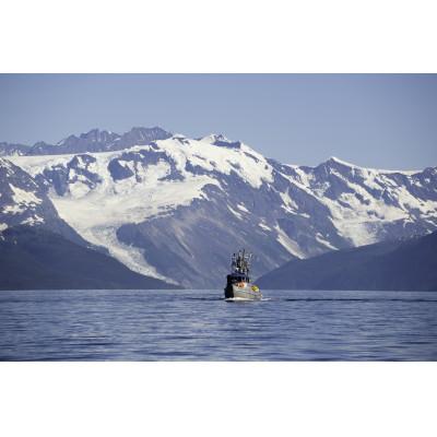 ふるさと納税 銚子市 銀だら 8kg 真空パック入り |  | 03