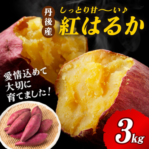 【先行予約】丹後産　さつまいも　紅はるか3kg　2027年2月中旬～配送　お野菜 野菜 正規品 ふるさと納税 さつまいも ふるさと納税 紅はるか べにはるか 甘い