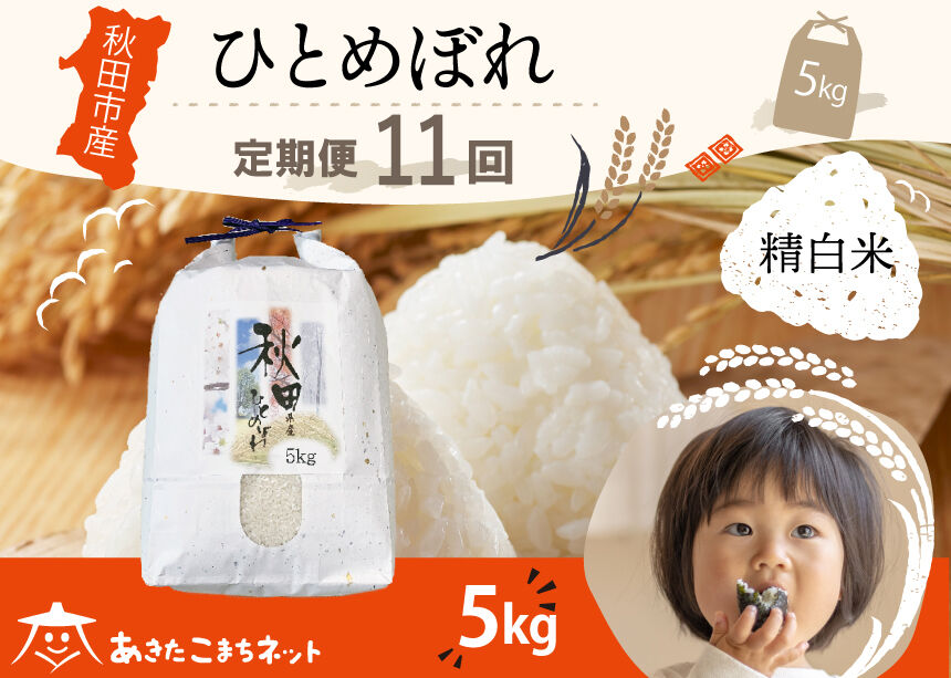 《定期便11ヶ月》ひとめぼれ 5kg 【白米】 秋田市産 [秋田県産 ひとめぼれ お米 精米 定期便 5kg 5キロ]