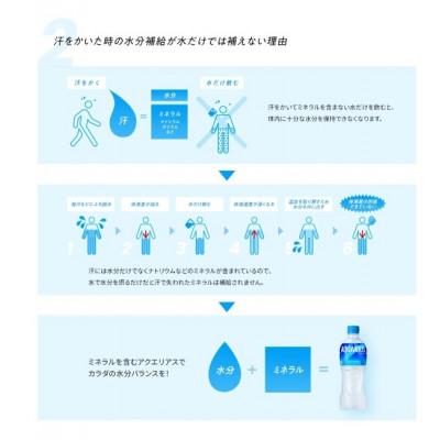 ふるさと納税 基山町 アクエリアス　1.25L　2箱(16本) |  | 02