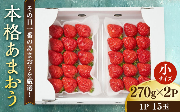 
            【先行予約】【農家直送！】 あまおう 小サイズ 270g×2パック 【2026年1月以降順次発送】糸島市 / みのりのりん [ABD005]
          