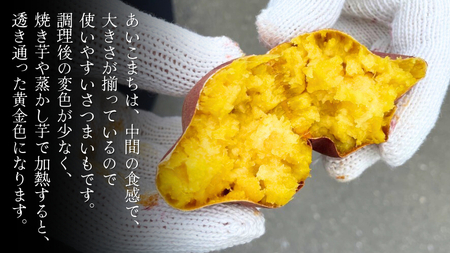 あいこまち 約5kg (茨城県共通返礼品／行方市) 2025年11月から発送開始 渋谷農園 さつまいも いも 芋 焼き芋 [DT013sa]