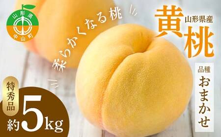 《2026年先行予約》山形県 産黄桃 品種おまかせ 特秀品 柔らかくなる桃 約5kg（黄金桃、スイート光黄、黄ららの極み、黄貴妃 他） F4A-0469