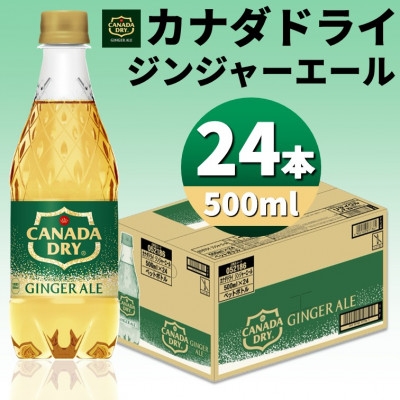 
カナダドライジンジャーエール 500mlPET×24本【1456816】
