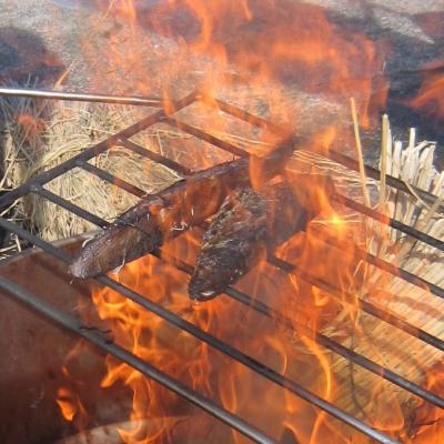 ふるさと納税 室戸市 室戸流藁焼きかつおのたたきセット　1400〜1700g