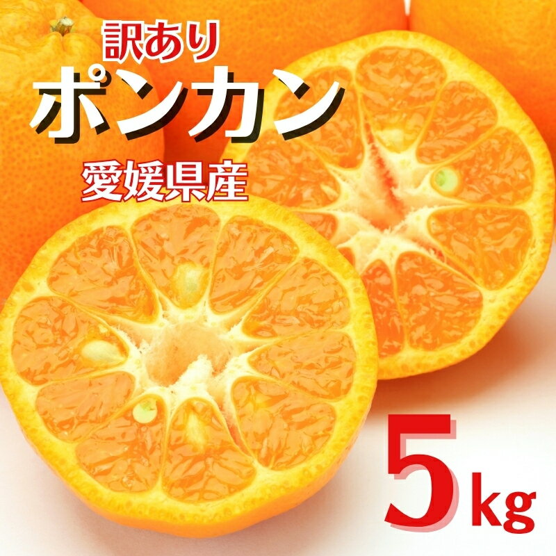【ふるさと納税】訳あり ポンカン 5kg ご家庭用 みかん 人気 数量限定 先行予約 柑橘 伊予市 【2026年1月中旬以降順次発送】｜B147