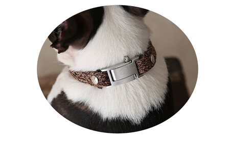 【Size27cm】ザオラル・リカバリーαバンド BR/SI｜横浜市 高機能バンド ペット用アクセサリー