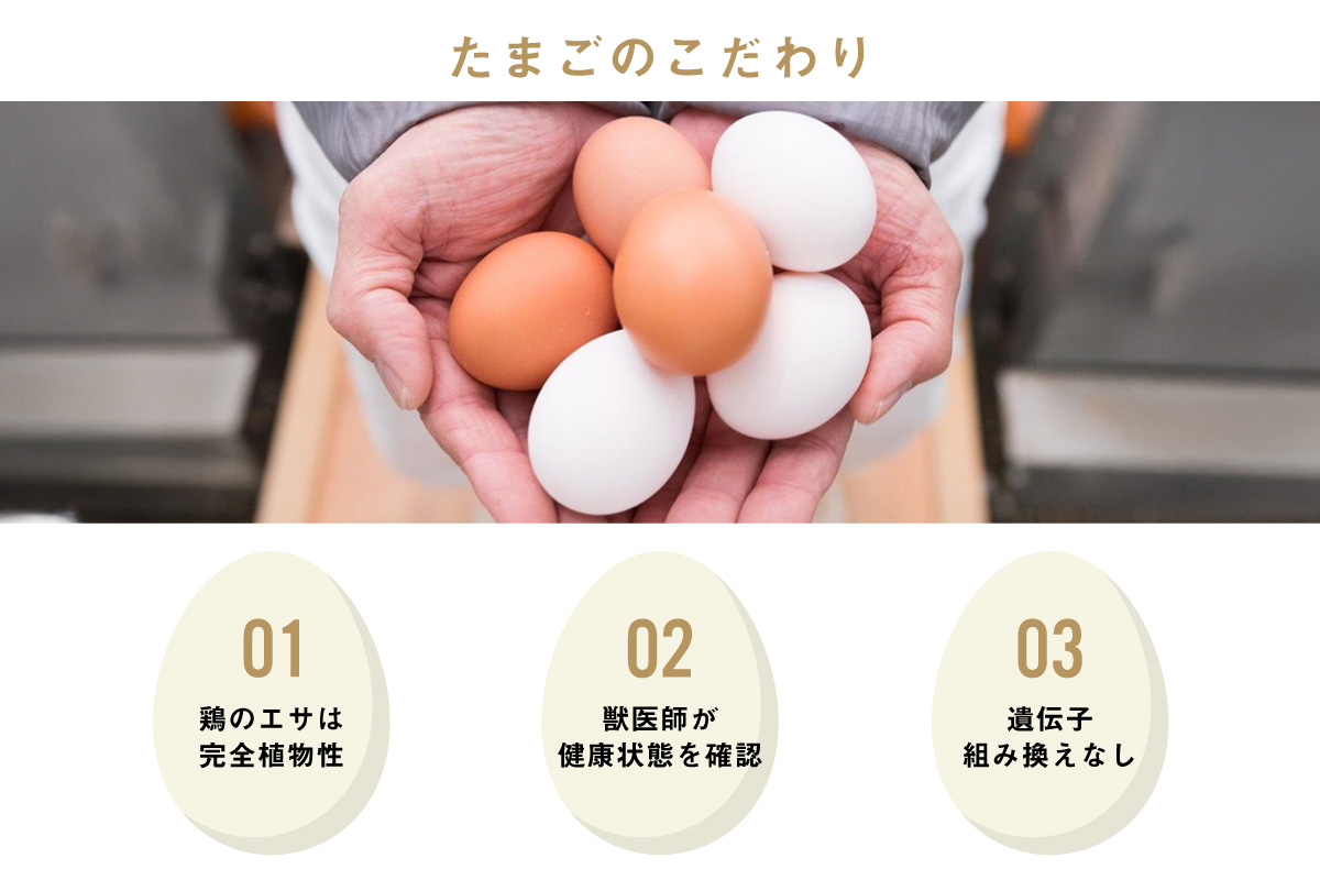 【9ヵ月定期便】ココテラスの紅白たまご　15個 + 5個保証（計20個）【JGAP認証】