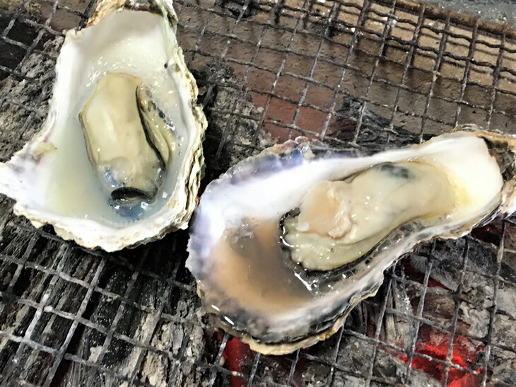 【能登半島地震復興支援】魚介類 牡蠣　/ 能登かき　殻付牡蠣 半缶/約5kg（約40～50個） 専用ナイフ 片手用軍手付 /世界農業遺産「能登の里山里海」｜石川県 七尾市 能登 ※要加熱 ※2025年