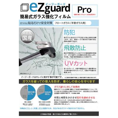 ふるさと納税 太田市 イージーガード(ezguard)Pro【4枚入】