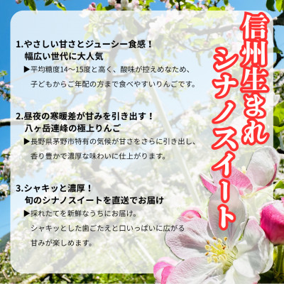 【2025年先行受付】長野直送!信州八ヶ岳のりんごシナノスイート約10kg(24～36玉)蓼科高原【配送不可地域：離島】