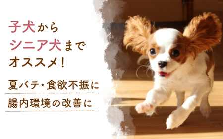 【3回定期便】ワンワン 甘酒 犬 用  （濃縮タイプ） 便利な スタンドパック入り 190g×10【有限会社 木屋食品工業】[ZAD028]