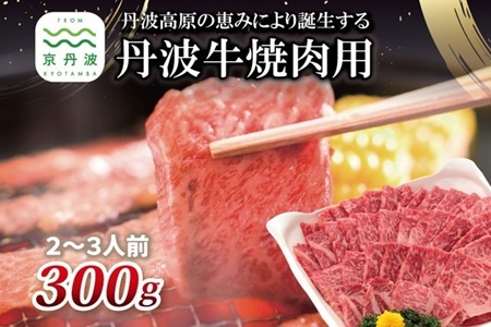 【京丹波・丹波牛】 丹波牛 焼肉用 300g 2～3人前 【 黒毛和牛 国産牛 焼肉 丹波牛 赤身 霜降り 焼肉のタレ付き たれ 京都 丹波 いづつ屋 】  [015IZ003]