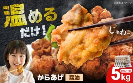 からあげ 醤油味　5kg（単品）【から太郎】 [BDBC001-3]
