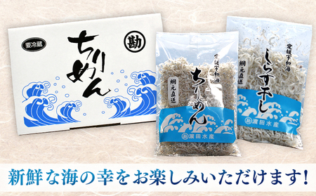 ＜ちりめん＆しらす干し 食べ比べセット＞ 西予市産 ちりめん しらす干し 食べ比べ 健康 カルシウム 詰め合わせ チリメン シラス 魚介 海産物 海鮮 家庭用 贈答用 小分け 国産 特産品 産地直送 