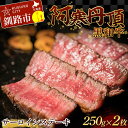 【ふるさと納税】阿寒丹頂黒和牛 サーロインステーキ 500g (250g2枚) 和牛 ステーキ しゃぶしゃぶ すき焼き 肉 北海道産 阿寒 F4F-3595