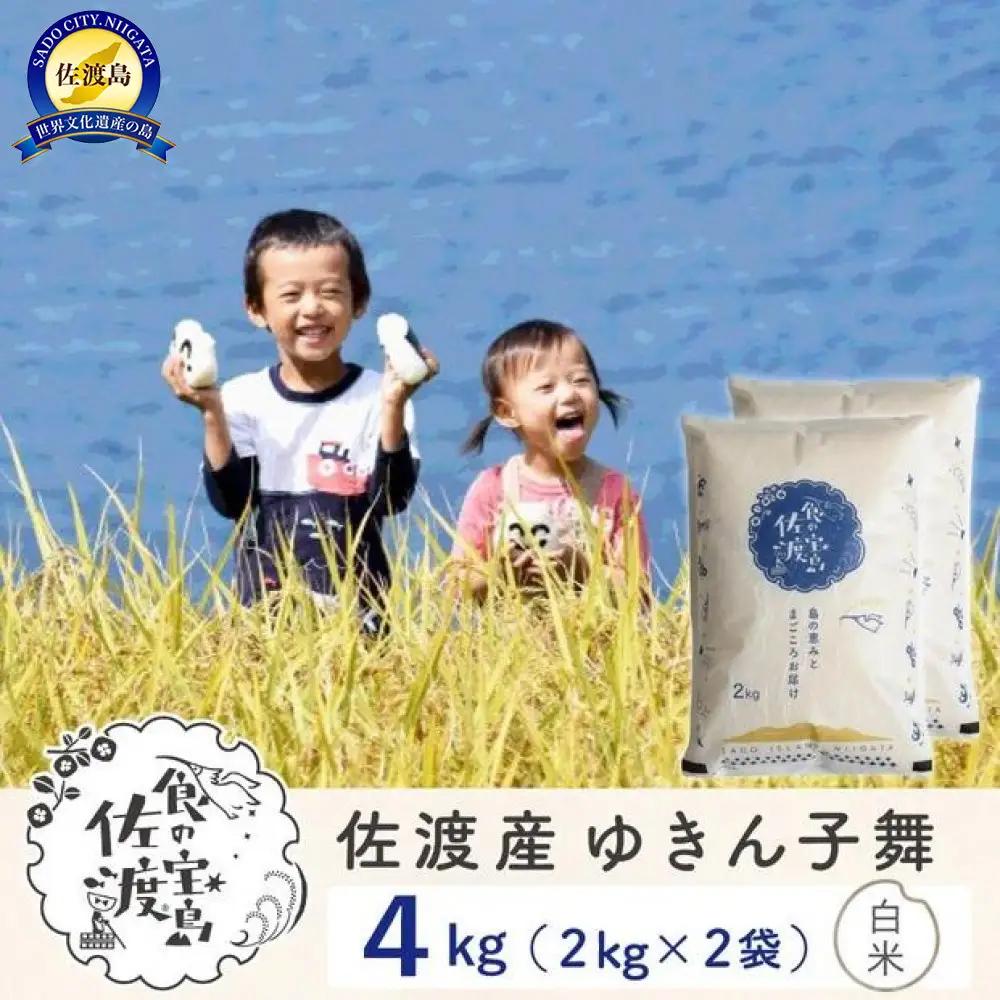佐渡島産ゆきん子舞 白米4Kg（2Kg×2袋） 令和7年 ～農薬5割減～