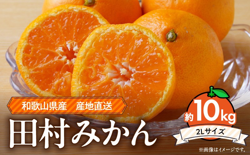 
                  和歌山 湯浅町産 田村みかん 約10kg【2Sサイズ】  ※着日指定不可_ZE6493
                