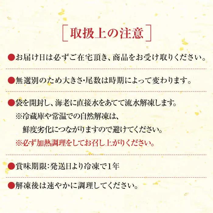【加熱用】伊万里特産 無頭冷凍車海老 計2.5kg（250g×10袋） / 佐賀県 / 株式会社拓水 伊万里クルマエビセンター [41AEAJ010]