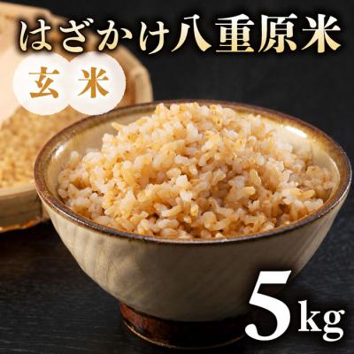 ふるさと納税 東御市 令和8年新米予約!標高700mの台地で稲作一筋の農家が育てたはざかけ八重原米5kg(1袋)玄米