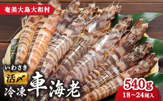 
            いわさき活〆冷凍車海老（５４０ｇ、１８～２４尾入り）
          