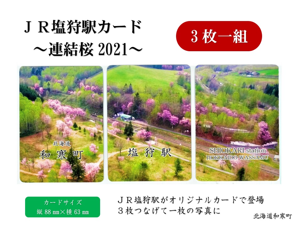 【ふるさと納税】JR塩狩駅カード～連結桜2021～