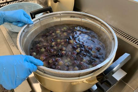 無添加 干しぶどう ボッサの干しぶどう 40g×1袋 マスカットベーリーA（種あり）国産 レーズン ドライフルーツ 砂糖不使用 ブドウ 葡萄 加工食品 お菓子 スイーツ おやつ 