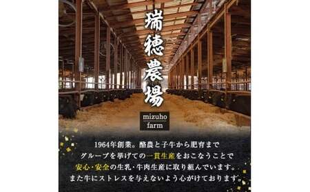 牛肉 切り落とし 約1kg 【牛肉】 【ho1448】