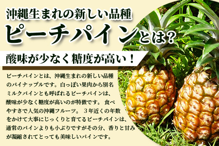 【先行受付】希少！濃厚！「枝先完熟・てのひらパイン」ピーチ・ポコット食べ比べセット　2025年4月～7月順次発送 OI-4