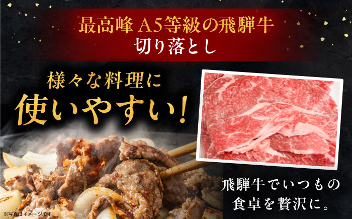 【12回定期便】 飛騨牛 切り落とし肉 A5ランク 1kg 和牛 国産 霜降り 恵那市 / 岩島屋 [AUAJ035]