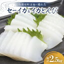 【ふるさと納税】セーイカ2kg イカとんび500g お刺身用 約2.5kg【配送不可地域：離島】【1571052】