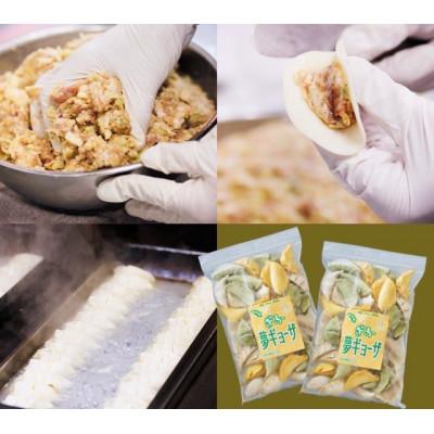 ふるさと納税 本巣市 ぎふ夢餃子ミックス 80個(40個入り×2袋) 生冷凍 |  | 01