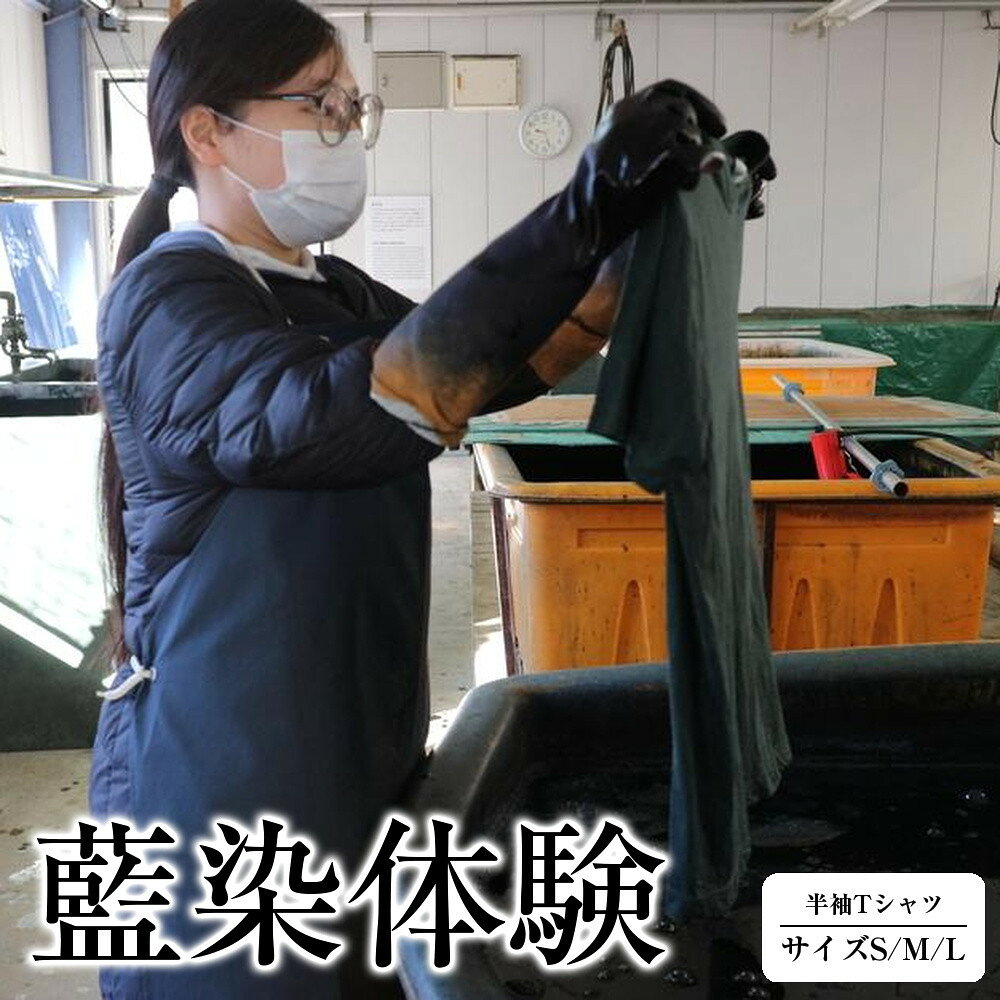 【ふるさと納税】【体験】藍染体験 半袖Tシャツ（サイズS/M/L） | 券 人気 おすすめ 送料無料