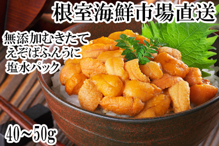 無添加むきたてエゾバフンウニ(赤系)塩水パック40～50g×1P[2026年1月中旬以降発送] G-14069