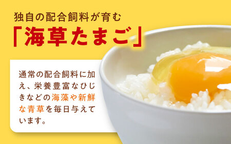 平飼い 海草たまご 5パック（50個入り）割れ保証あり 愛媛県大洲市/和田養鶏所 卵 たまご 鶏卵 卵料理 玉子[AGDQ002]